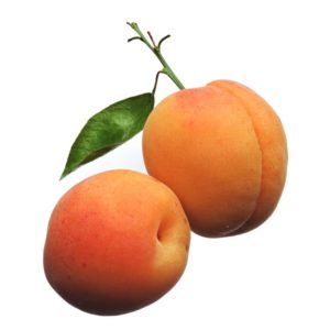 abricot-2